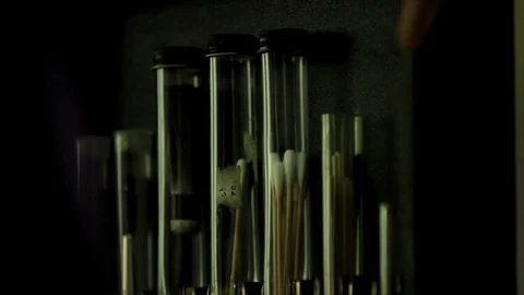 Science Beakers Lined Up in a Forensics Laboratory HD Video 스톡 동영상 91790790