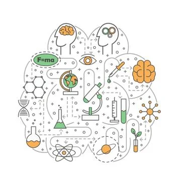 Science brain shaped vector flat line art illustration Stock Illustration