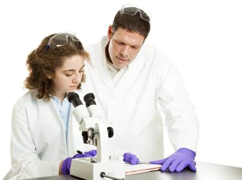 Science in the Classroom Stock Photos