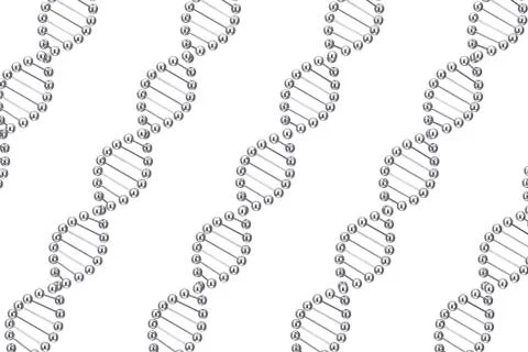 Science Concept. Rows of MEtal DNA Molecule Spiral. 3d Rendering Illustrazione stock