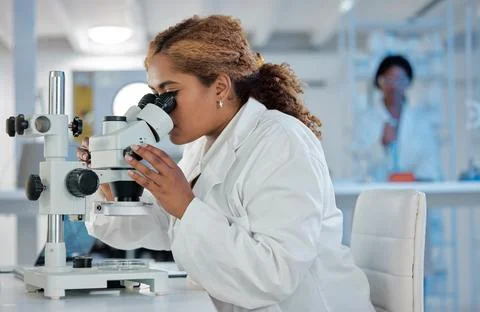 Science, development and microscope with a woman at work in a laboratory for Stock Photos