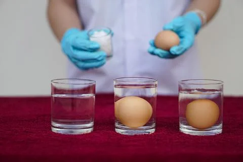 Science experiment about eggs. Stock Photos