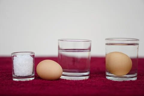 Science experiment about eggs Stock Photos