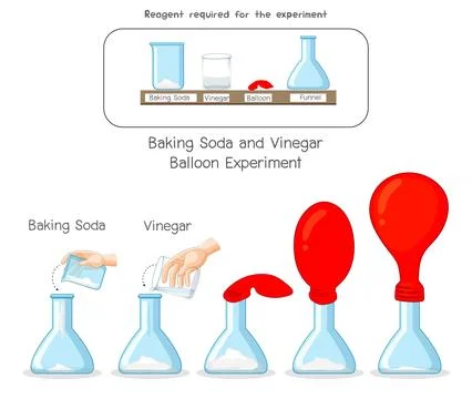 Science experiment featuring baking soda and vinegar is being conducted with a b Stock Illustration