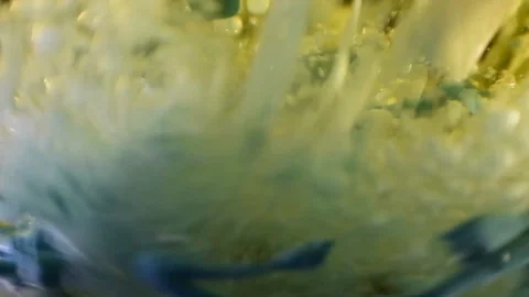 Science experiment liquid botany with exploding bubble and debris movement Vídeos de archivo 107758231