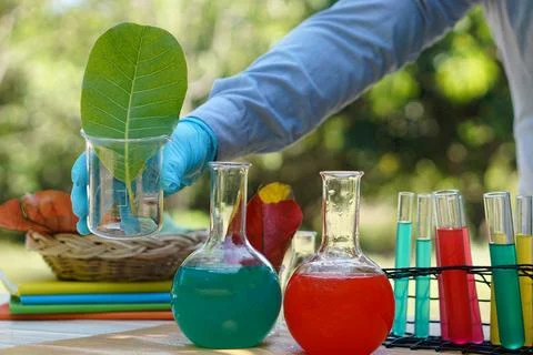 Science experiment Stock Photos