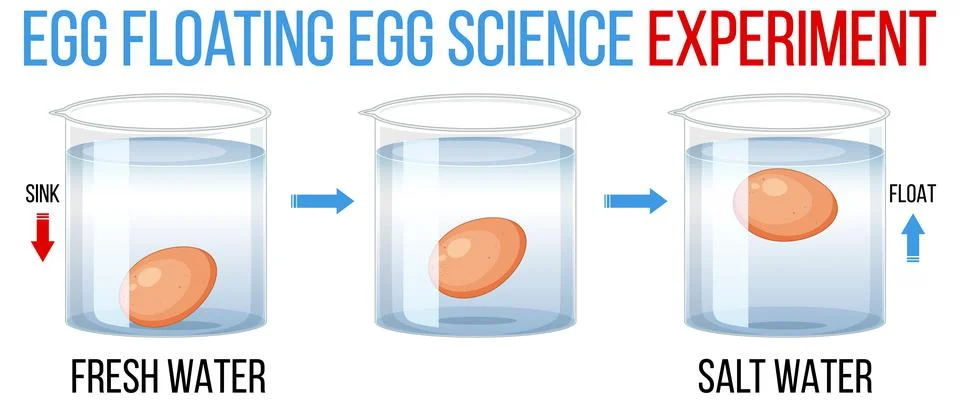 Science Experiment with test eggs for freshness Stock Illustration