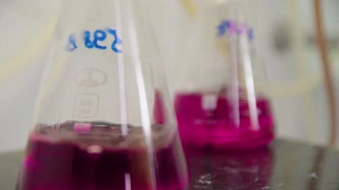 A science experiment with two test tubes with pink liquid in the laboratory Stockbeeldmateriaal 275076461