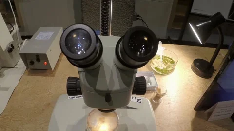 Science fair. Microscope Stock Footage 40906810