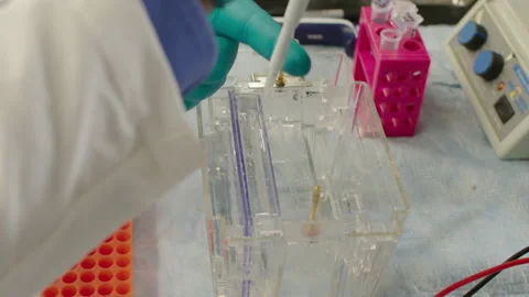 Science gel 4k Stock Footage 148796216