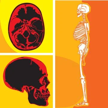 Science Stock Illustration