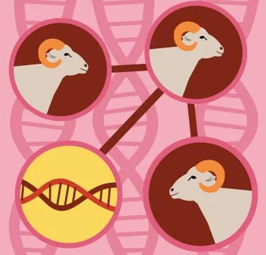 Science Stock Illustration