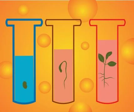 Science Stock Illustration