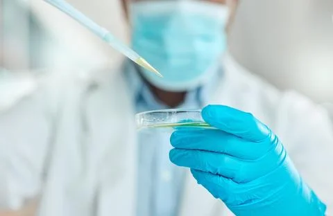Science, lab and hands with sample in petri dish for research, medical study and Stock Photos