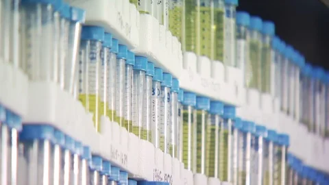 Science Lab Stock Footage 123923231