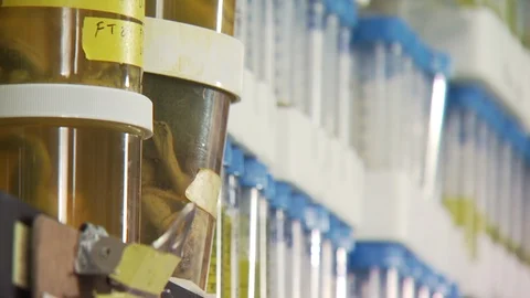 Science Lab Stock Footage 123923248