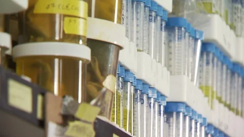 Science Lab Stock Footage 123923289