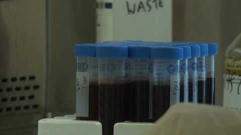 Science Lab Video stock 123923589