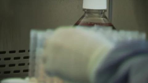 Science Lab Stock Footage 123923691