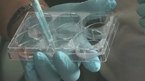 Science laboratory Stock Footage 20497021