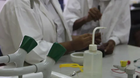 Science Lesson Stock Footage 47813770