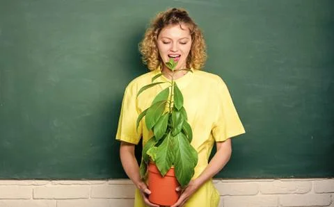 Science lesson. tree of knowledge. school learning ecology. school nature study Foto stock