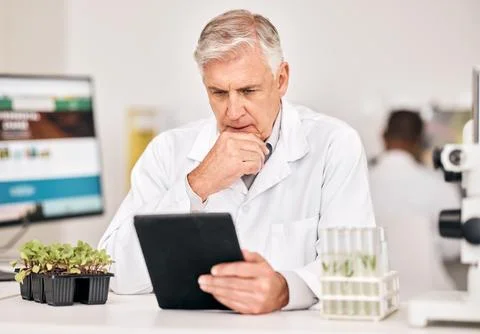 Science man, plants and thinking on tablet for agriculture solution, problem Foto stock