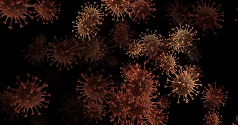 Science, medical and black background with particles of germs for viral Stock Footage 279130800
