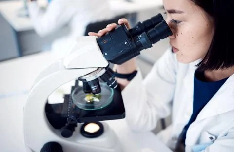 Science, microscope and botanist with Petri dish analyzing plant sample for Stock Photos