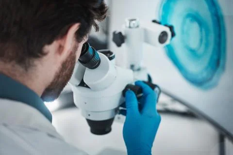 Science, microscope and laboratory with a scientist checking research data from Foto stock