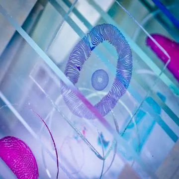 Science microscope slide Stock Photos