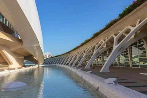 Science museum in Valencia in the architectural complex of City of Arts and Stock Photos