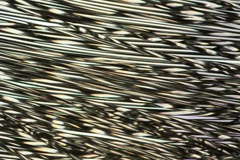 Science Stock Photos