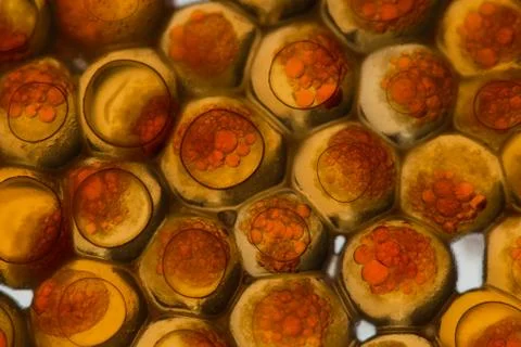 Science Stock Photos