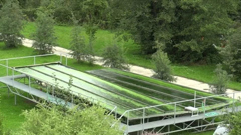 Science research, algae, chlorella production, food supplement,  biotechnology Stock Footage 69822819