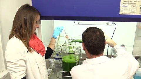 Science research algae scientist man and woman, the water is green bottle Stock Footage 87825006