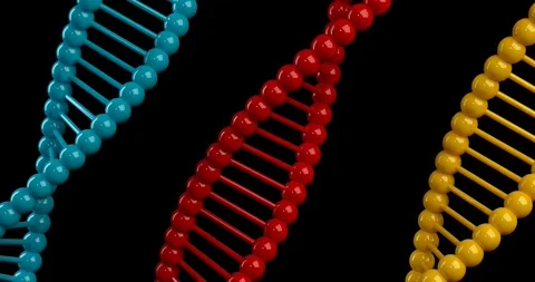 Science Research and Development Technology Platform Concept Stock Footage 311045876