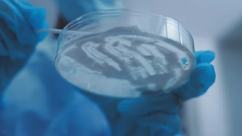 Science, research and hands in lab with notebook and computer on scientific.. Stock Footage 344456296
