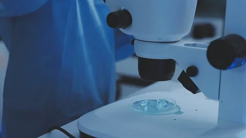Science, research and hands in lab with notebook and computer on scientific.. Stock Footage 344456426