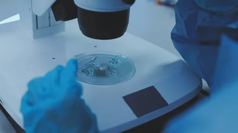 Science, research and hands in lab with notebook and computer on scientific.. Stock Footage 344456529