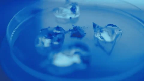Science, research and hands in lab with notebook and computer on scientific.. Stock Footage 344456846