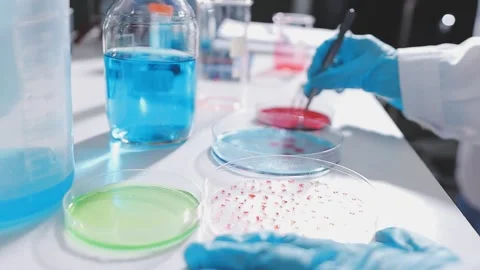 Science, research and hands in lab with notebook and computer on scientific.. Stock Footage 344456891