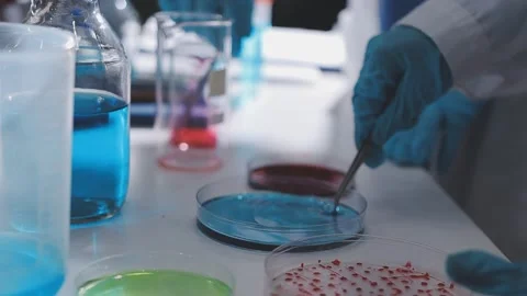 Science, research and hands in lab with notebook and computer on scientific.. Stock Footage 344456917