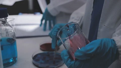 Science, research and hands in lab with notebook and computer on scientific.. Stock Footage 344456996