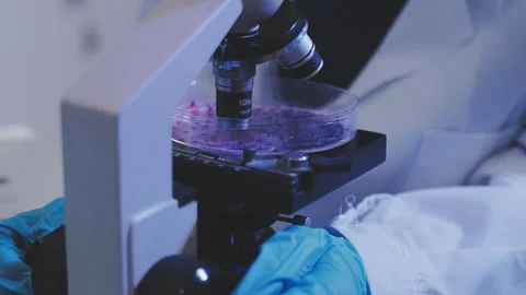 Science, research and hands in lab with notebook and computer on scientific.. Stock Footage 344457039