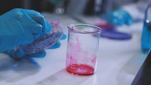Science, research and hands in lab with notebook and computer on scientific.. Stock Footage 344457084