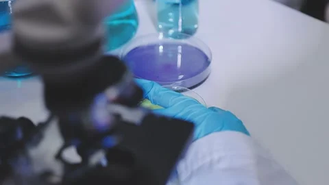 Science, research and hands in lab with notebook and computer on scientific.. Stock Footage 344457158