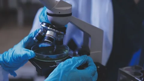Science, research and hands in lab with notebook and computer on scientific.. Stock Footage 344457199