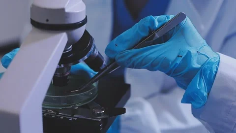 Science, research and hands in lab with notebook and computer on scientific.. Stock Footage 344457228