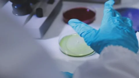 Science, research and hands in lab with notebook and computer on scientific.. Stock Footage 344457279